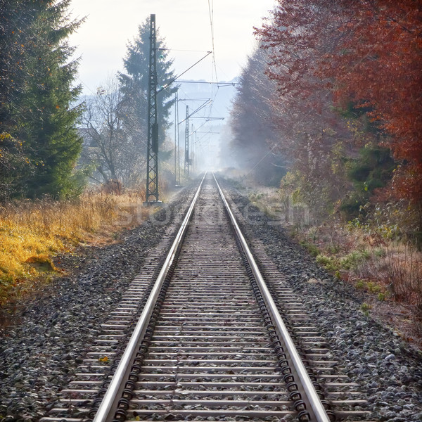 railway Stock photo © magann