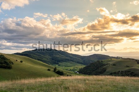 Paisagem vegetação imagem praia céu nuvens Foto stock © magann