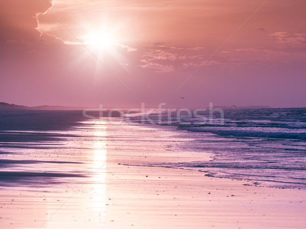 80 mile beach Australia Stock photo © magann
