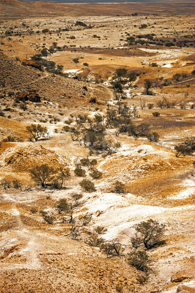 Breakaways Coober Pedy Stock photo © magann