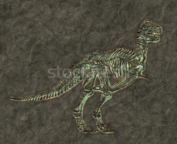 t-rex skeleton Stock photo © magann
