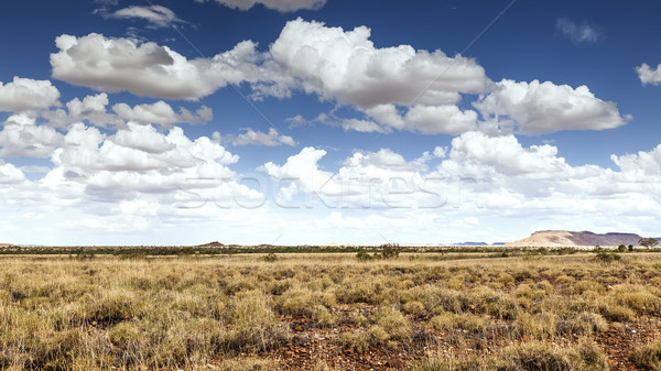 desert landscape Australia Stock photo © magann