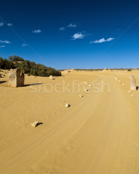 desert road Stock photo © magann