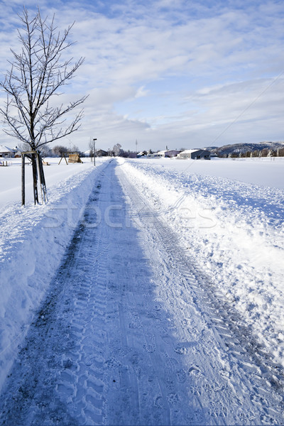 Tél díszlet kép szép fekete erdő Stock fotó © magann