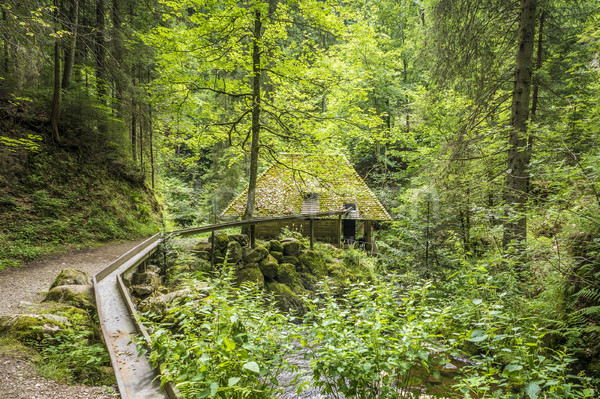 mill hut at Ravenna Gorge Stock photo © magann