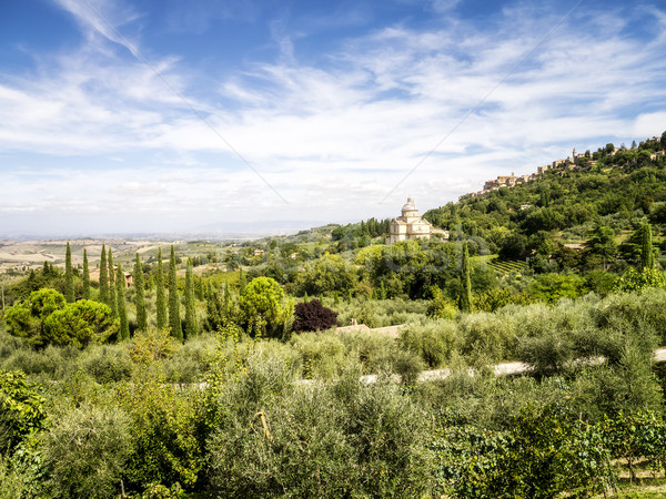 Toscane image paysage Italie ciel arbre Photo stock © magann