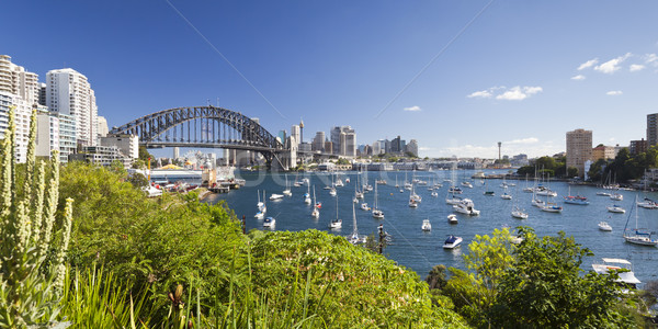 Haven brug afbeelding Sydney hemel water Stockfoto © magann