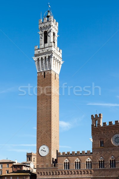 Tower in Siena Italy Stock photo © magann