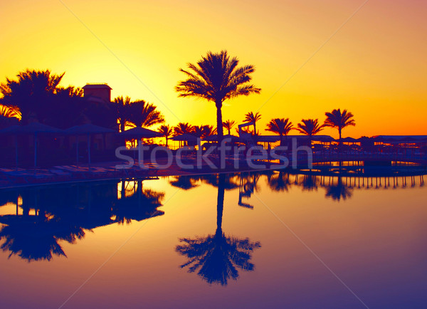 Havuz gün batımı fotoğrafçılık görmek palmiye Stok fotoğraf © magann