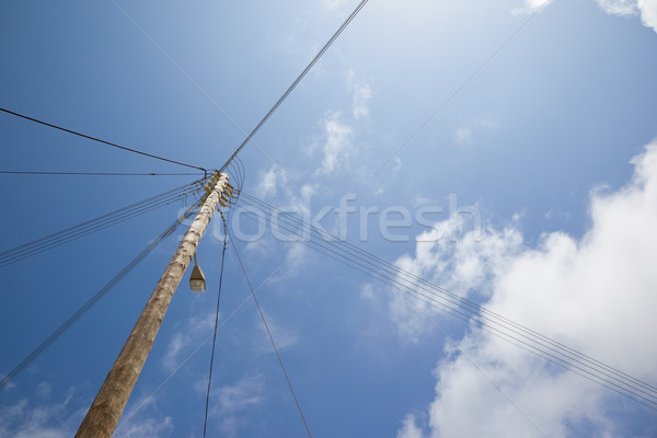 power network Stock photo © magann