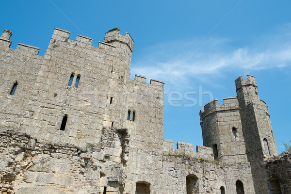 Castelo imagem belo férias história torre Foto stock © magann