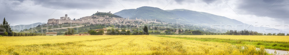 Assisi in Italy Umbria golden field panorama Stock photo © magann