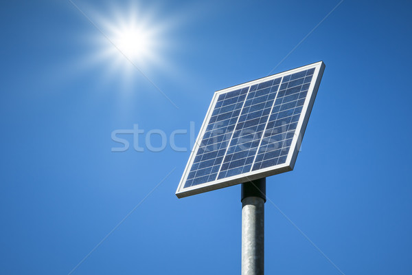 Güneş bitki görüntü küçük iş güneş Stok fotoğraf © magann