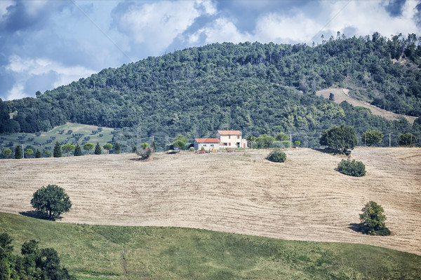 Toscana imagen paisaje Italia cielo árbol Foto stock © magann