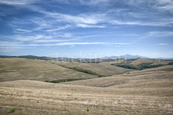 Tuscany Stock photo © magann