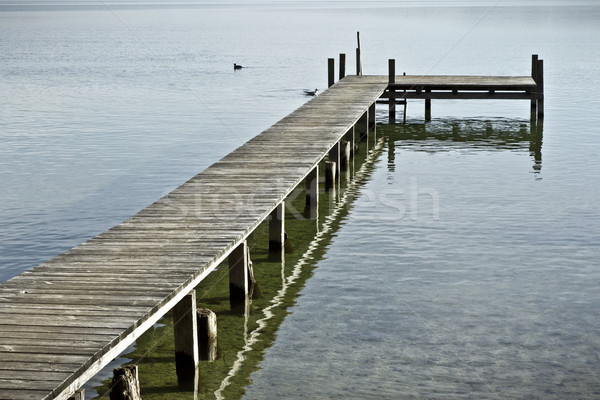 Velho lago Alemanha céu madeira natureza Foto stock © magann