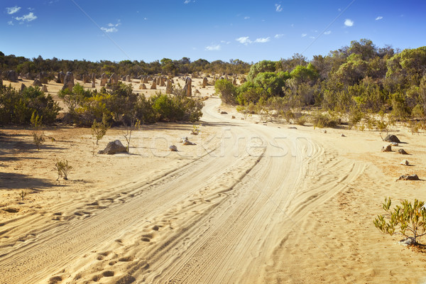 Stock photo: desert road