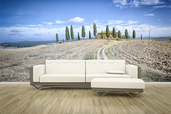 Fotó fal kanapé padló 3D renderelt kép Stock fotó © magann