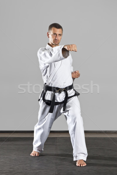 [[stock_photo]]: Arts · martiaux · maître · image · homme · sport · santé