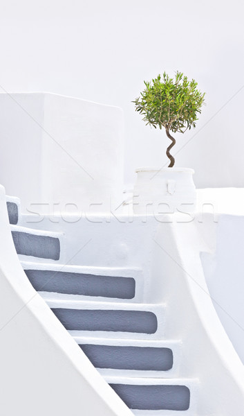 Santorini stairs Stock photo © magann