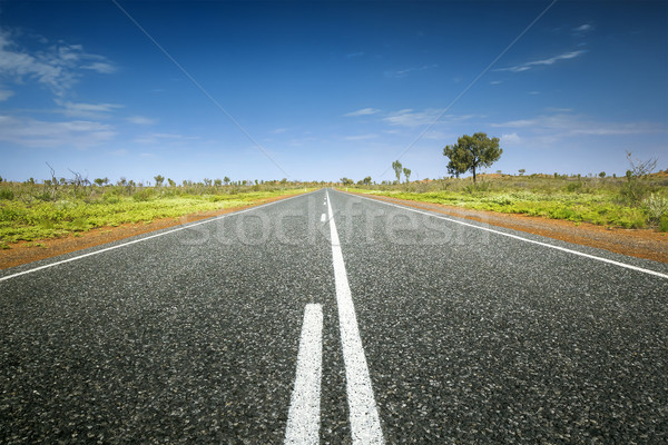 desert road Stock photo © magann