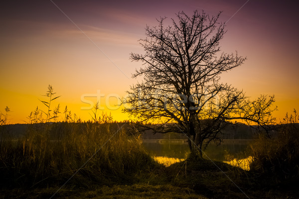 sunset at Osterseen Lake near Iffeldorf Bavaria Germany Stock photo © magann