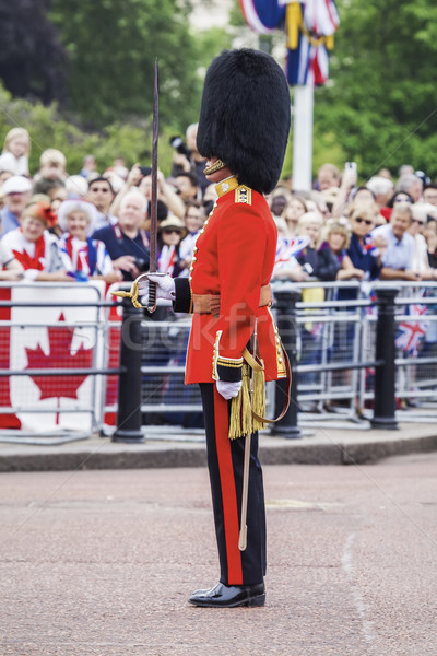 Guardia Londra immagine tipico sicurezza viaggio Foto d'archivio © magann