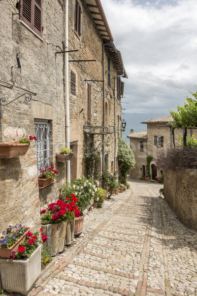 typical italian city street Stock photo © magann