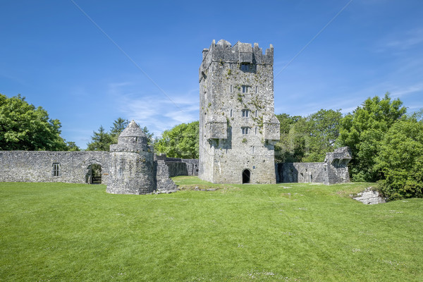 ruin near corrib Stock photo © magann