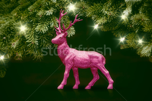 pink deer Stock photo © magann