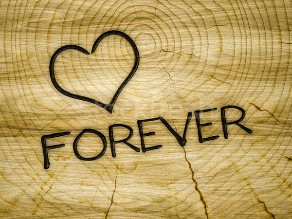 Legno cuore amore per sempre illustrazione Foto d'archivio © magann