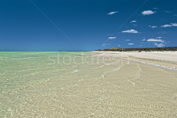 beach Stock photo © magann
