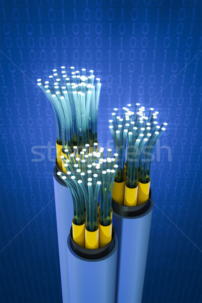 Zdjęcia stock: Włókno · optyczny · kabel · 3D · kontakt