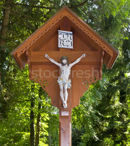 Jezusa obraz piękna święty krzyż kwiat Zdjęcia stock © magann