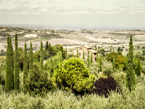 Tuscany Stock photo © magann
