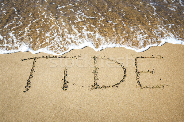 Word in the sand Stock photo © magann