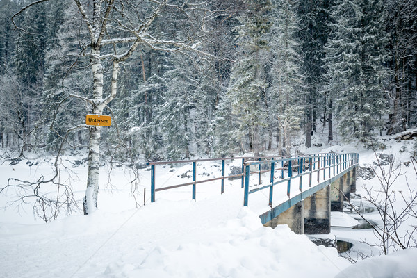 Eibsee winter Stock photo © magann