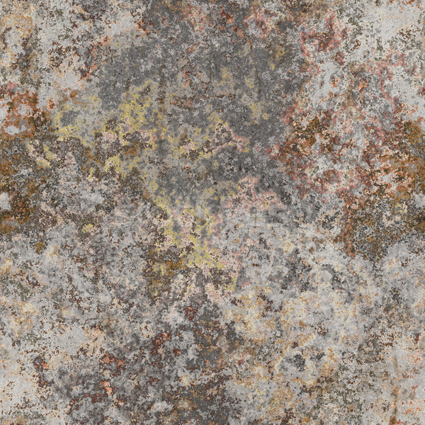 seamless lichen background Stock photo © magann