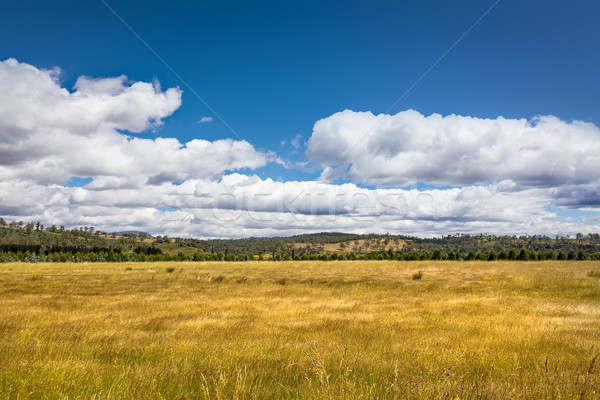 Tasmania paisaje imagen hermosa montana verano Foto stock © magann