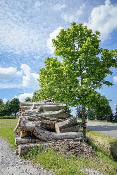 バッチ 木材 画像 草 自然 エネルギー ストックフォト © magann