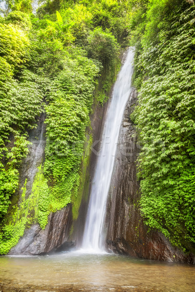 водопада Бали изображение Nice воды зеленый Сток-фото © magann