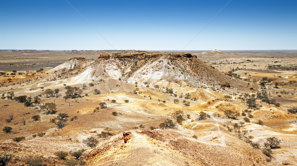 Imagem cão paisagem laranja azul Foto stock © magann