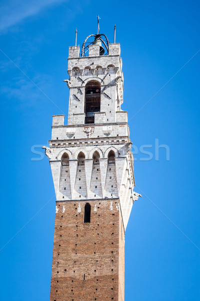 Tower in Siena Italy Stock photo © magann