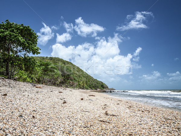 Beach Queensland Australia Stock photo © magann