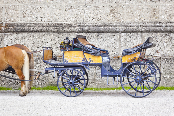 horse drawn carriage Stock photo © magann