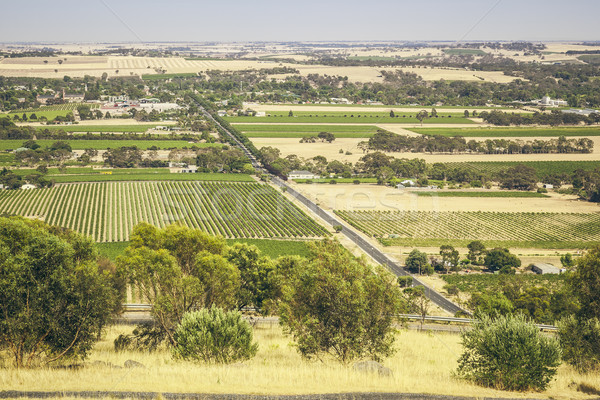 Vallei afbeelding landschap Australië wolken vruchten Stockfoto © magann