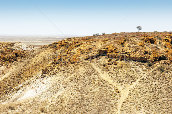 Bild groß Hund Landschaft orange blau Stock foto © magann