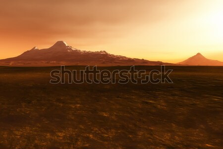 [[stock_photo]]: Paysage · végétation · image · plage · ciel · nuages