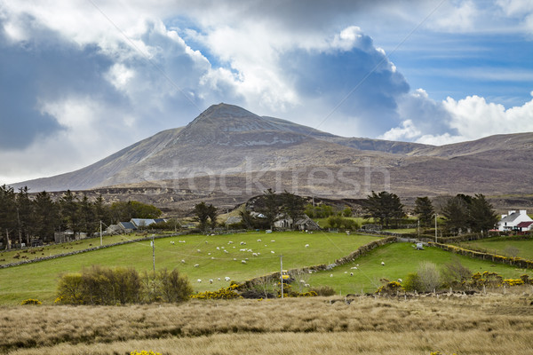 Landschaft Landschaft Irland Bild Natur blau Stock foto © magann