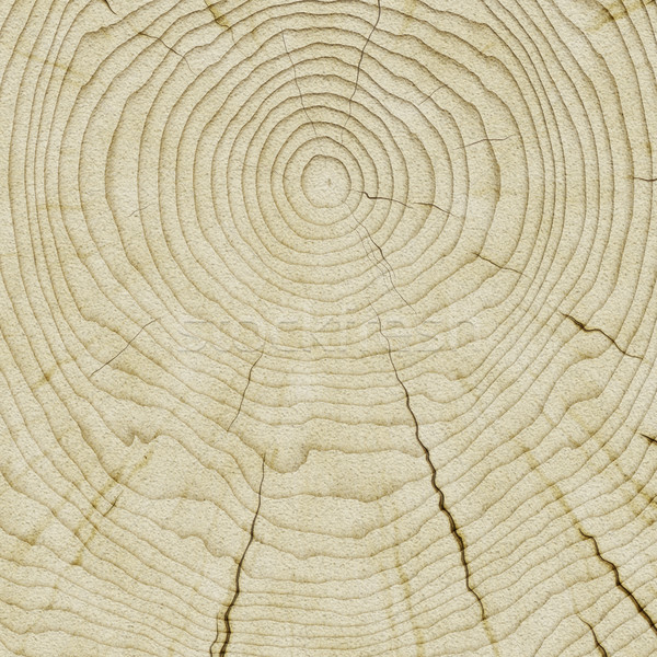 Legno texture illustrazione nice legno digitale Foto d'archivio © magann